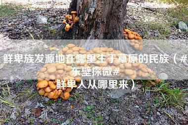 鲜卑族发源地在哪里生于草原的民族（#东壁探微# 鲜卑人从哪里来）