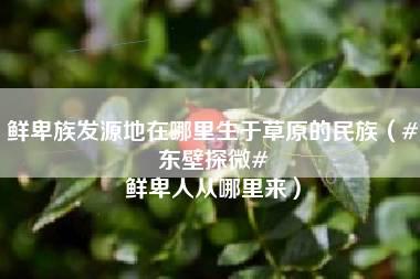 鲜卑族发源地在哪里生于草原的民族（#东壁探微# 鲜卑人从哪里来）