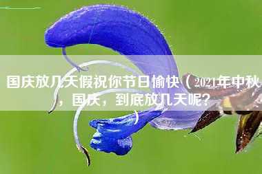 国庆放几天假祝你节日愉快（2021年中秋，国庆，到底放几天呢？）