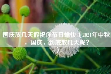 国庆放几天假祝你节日愉快（2021年中秋，国庆，到底放几天呢？）