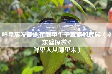 鲜卑族发源地在哪里生于草原的民族（#东壁探微# 鲜卑人从哪里来）