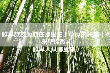 鲜卑族发源地在哪里生于草原的民族（#东壁探微# 鲜卑人从哪里来）