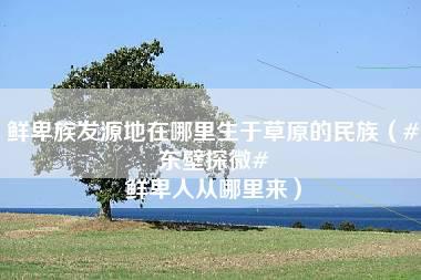 鲜卑族发源地在哪里生于草原的民族（#东壁探微# 鲜卑人从哪里来）