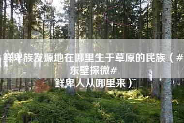 鲜卑族发源地在哪里生于草原的民族（#东壁探微# 鲜卑人从哪里来）