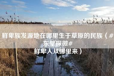 鲜卑族发源地在哪里生于草原的民族（#东壁探微# 鲜卑人从哪里来）