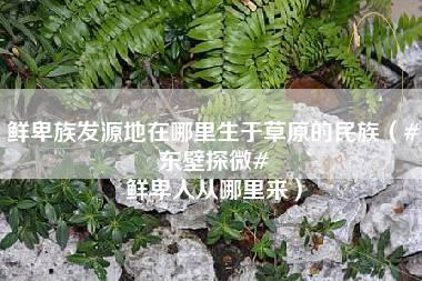 鲜卑族发源地在哪里生于草原的民族（#东壁探微# 鲜卑人从哪里来）