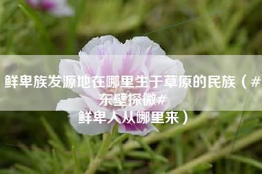 鲜卑族发源地在哪里生于草原的民族（#东壁探微# 鲜卑人从哪里来）