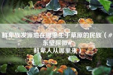 鲜卑族发源地在哪里生于草原的民族（#东壁探微# 鲜卑人从哪里来）