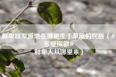 鲜卑族发源地在哪里生于草原的民族（#东壁探微# 鲜卑人从哪里来）