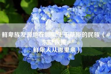 鲜卑族发源地在哪里生于草原的民族（#东壁探微# 鲜卑人从哪里来）