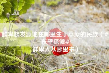 鲜卑族发源地在哪里生于草原的民族（#东壁探微# 鲜卑人从哪里来）