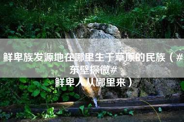 鲜卑族发源地在哪里生于草原的民族（#东壁探微# 鲜卑人从哪里来）