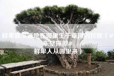 鲜卑族发源地在哪里生于草原的民族（#东壁探微# 鲜卑人从哪里来）