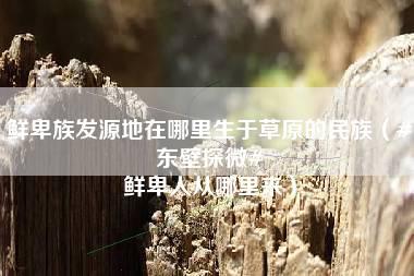 鲜卑族发源地在哪里生于草原的民族（#东壁探微# 鲜卑人从哪里来）