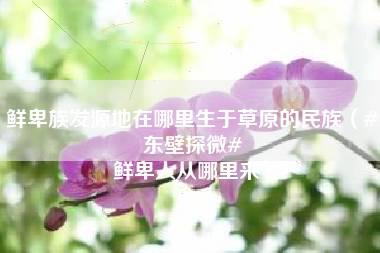 鲜卑族发源地在哪里生于草原的民族（#东壁探微# 鲜卑人从哪里来）