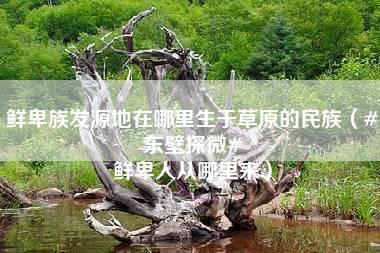 鲜卑族发源地在哪里生于草原的民族（#东壁探微# 鲜卑人从哪里来）