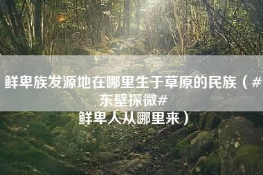 鲜卑族发源地在哪里生于草原的民族（#东壁探微# 鲜卑人从哪里来）