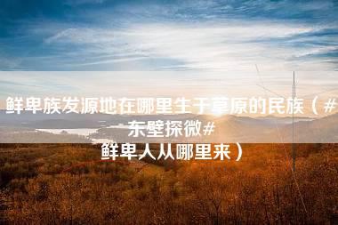 鲜卑族发源地在哪里生于草原的民族（#东壁探微# 鲜卑人从哪里来）