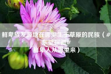 鲜卑族发源地在哪里生于草原的民族（#东壁探微# 鲜卑人从哪里来）