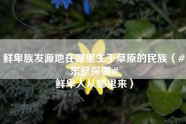 鲜卑族发源地在哪里生于草原的民族（#东壁探微# 鲜卑人从哪里来）