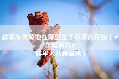 鲜卑族发源地在哪里生于草原的民族（#东壁探微# 鲜卑人从哪里来）