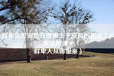 鲜卑族发源地在哪里生于草原的民族（#东壁探微# 鲜卑人从哪里来）