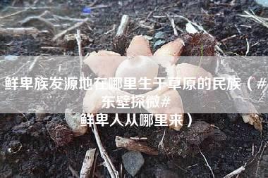 鲜卑族发源地在哪里生于草原的民族（#东壁探微# 鲜卑人从哪里来）