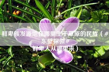 鲜卑族发源地在哪里生于草原的民族（#东壁探微# 鲜卑人从哪里来）