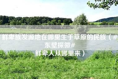 鲜卑族发源地在哪里生于草原的民族（#东壁探微# 鲜卑人从哪里来）