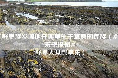 鲜卑族发源地在哪里生于草原的民族（#东壁探微# 鲜卑人从哪里来）