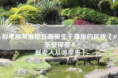 鲜卑族发源地在哪里生于草原的民族（#东壁探微# 鲜卑人从哪里来）