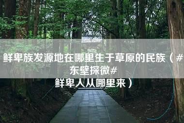 鲜卑族发源地在哪里生于草原的民族（#东壁探微# 鲜卑人从哪里来）