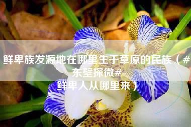 鲜卑族发源地在哪里生于草原的民族（#东壁探微# 鲜卑人从哪里来）