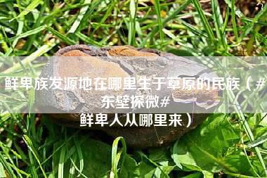 鲜卑族发源地在哪里生于草原的民族（#东壁探微# 鲜卑人从哪里来）