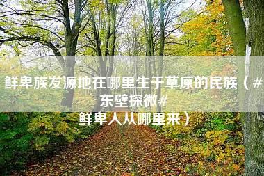 鲜卑族发源地在哪里生于草原的民族（#东壁探微# 鲜卑人从哪里来）