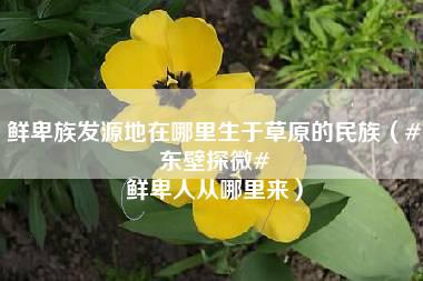 鲜卑族发源地在哪里生于草原的民族（#东壁探微# 鲜卑人从哪里来）