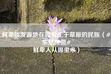 鲜卑族发源地在哪里生于草原的民族（#东壁探微# 鲜卑人从哪里来）