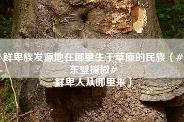 鲜卑族发源地在哪里生于草原的民族（#东壁探微# 鲜卑人从哪里来）