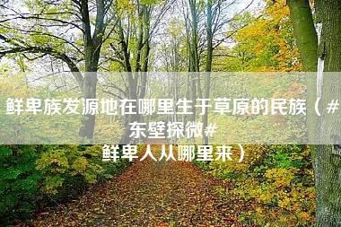 鲜卑族发源地在哪里生于草原的民族（#东壁探微# 鲜卑人从哪里来）