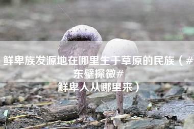 鲜卑族发源地在哪里生于草原的民族（#东壁探微# 鲜卑人从哪里来）