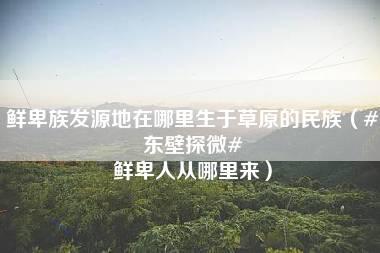 鲜卑族发源地在哪里生于草原的民族（#东壁探微# 鲜卑人从哪里来）