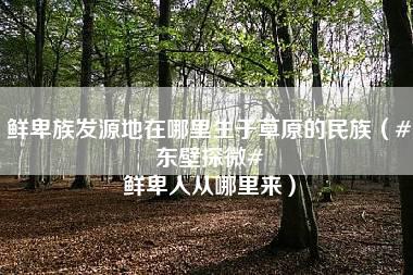 鲜卑族发源地在哪里生于草原的民族（#东壁探微# 鲜卑人从哪里来）