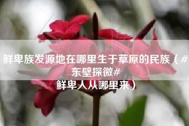 鲜卑族发源地在哪里生于草原的民族（#东壁探微# 鲜卑人从哪里来）