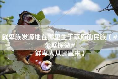 鲜卑族发源地在哪里生于草原的民族（#东壁探微# 鲜卑人从哪里来）