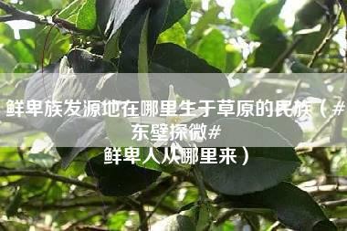 鲜卑族发源地在哪里生于草原的民族（#东壁探微# 鲜卑人从哪里来）