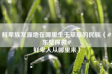 鲜卑族发源地在哪里生于草原的民族（#东壁探微# 鲜卑人从哪里来）