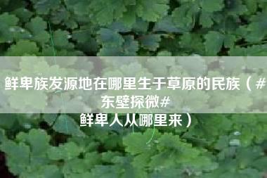 鲜卑族发源地在哪里生于草原的民族（#东壁探微# 鲜卑人从哪里来）