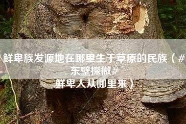 鲜卑族发源地在哪里生于草原的民族（#东壁探微# 鲜卑人从哪里来）