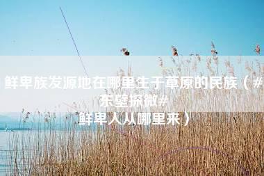 鲜卑族发源地在哪里生于草原的民族（#东壁探微# 鲜卑人从哪里来）