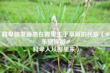 鲜卑族发源地在哪里生于草原的民族（#东壁探微# 鲜卑人从哪里来）